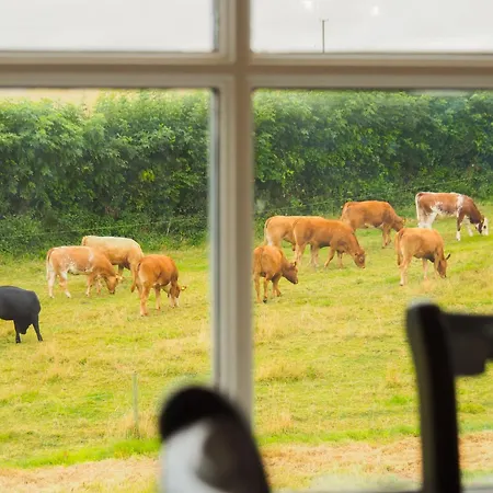 Casa vacanze Mountrush House Exclusive 13 Bed Ensuite Luxury Manor Near Dublin *